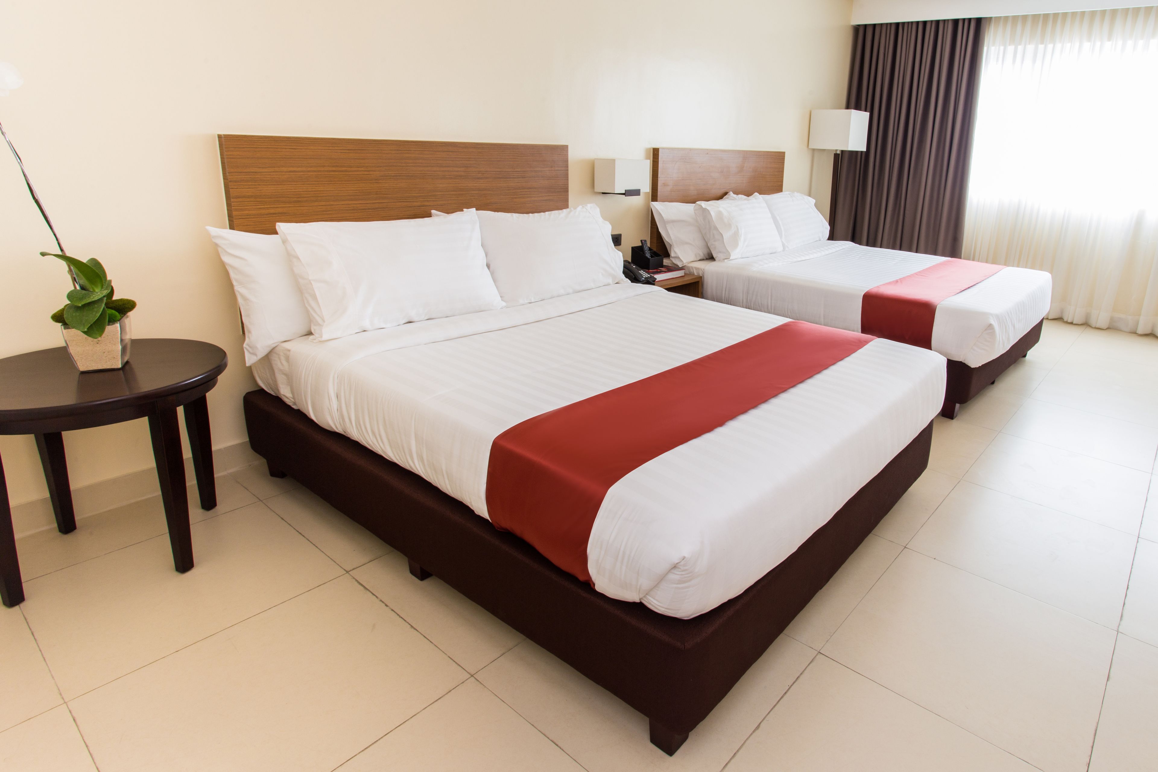 A hotel room with two beds, a bedside table with a plant, and a lamp.
