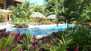 Outdoor pool, pool umbrellas, pool loungers