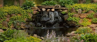 The Oakwood Inn – Adults Only