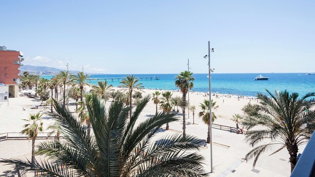 Een strand met palmbomen en een pier in de verte.