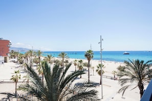 A beach with palm trees and a pier in the background.