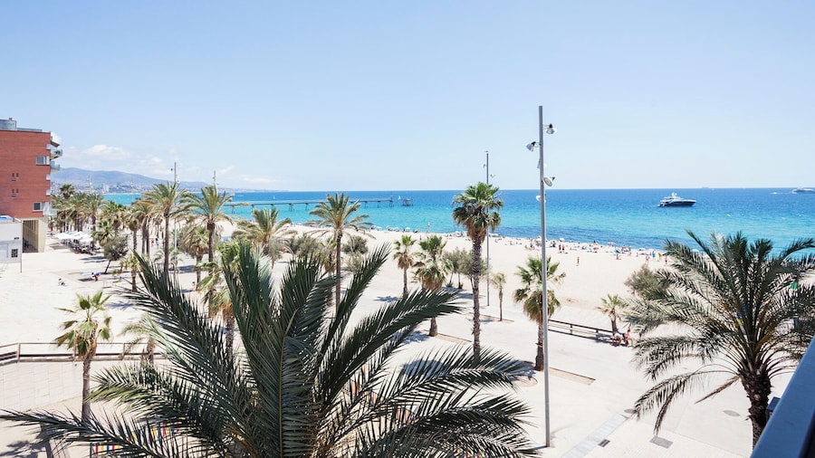 Alcam Badalona Playa Norte