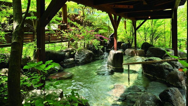 Un jardín tranquilo con un arroyo cristalino, construcciones de madera y abundante vegetación.