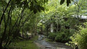 Un sendero de piedra atraviesa un exuberante jardín con follaje denso y un edificio al fondo.