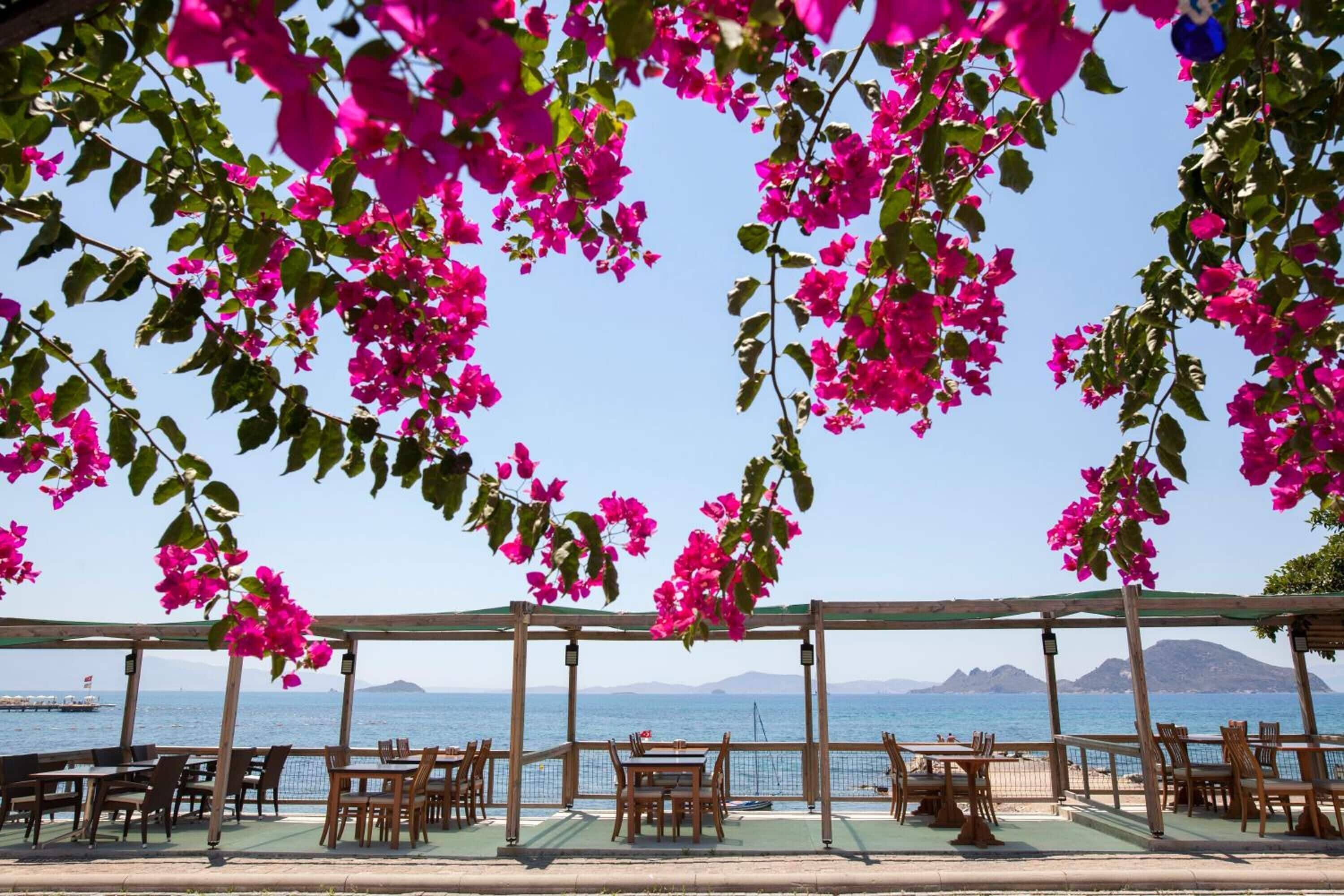 تناول الطعام بالخارج