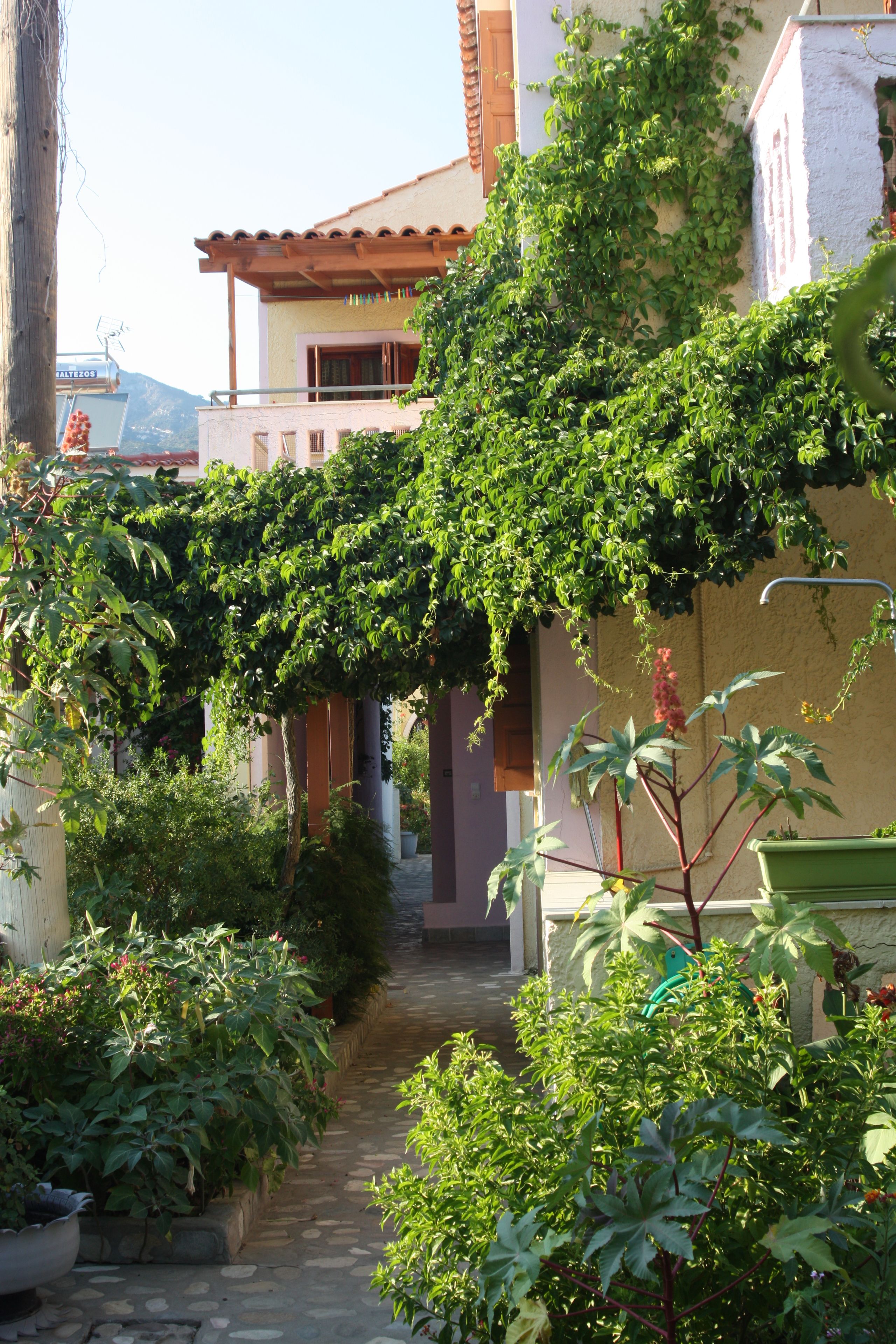 مدخل المنشأة