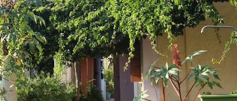 A narrow stone pathway leading to a building with a tiled roof and a covered porch.