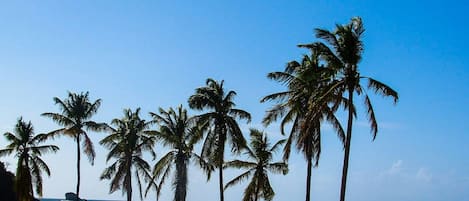 Na praia, areia branca, prática de mergulho livre no local 