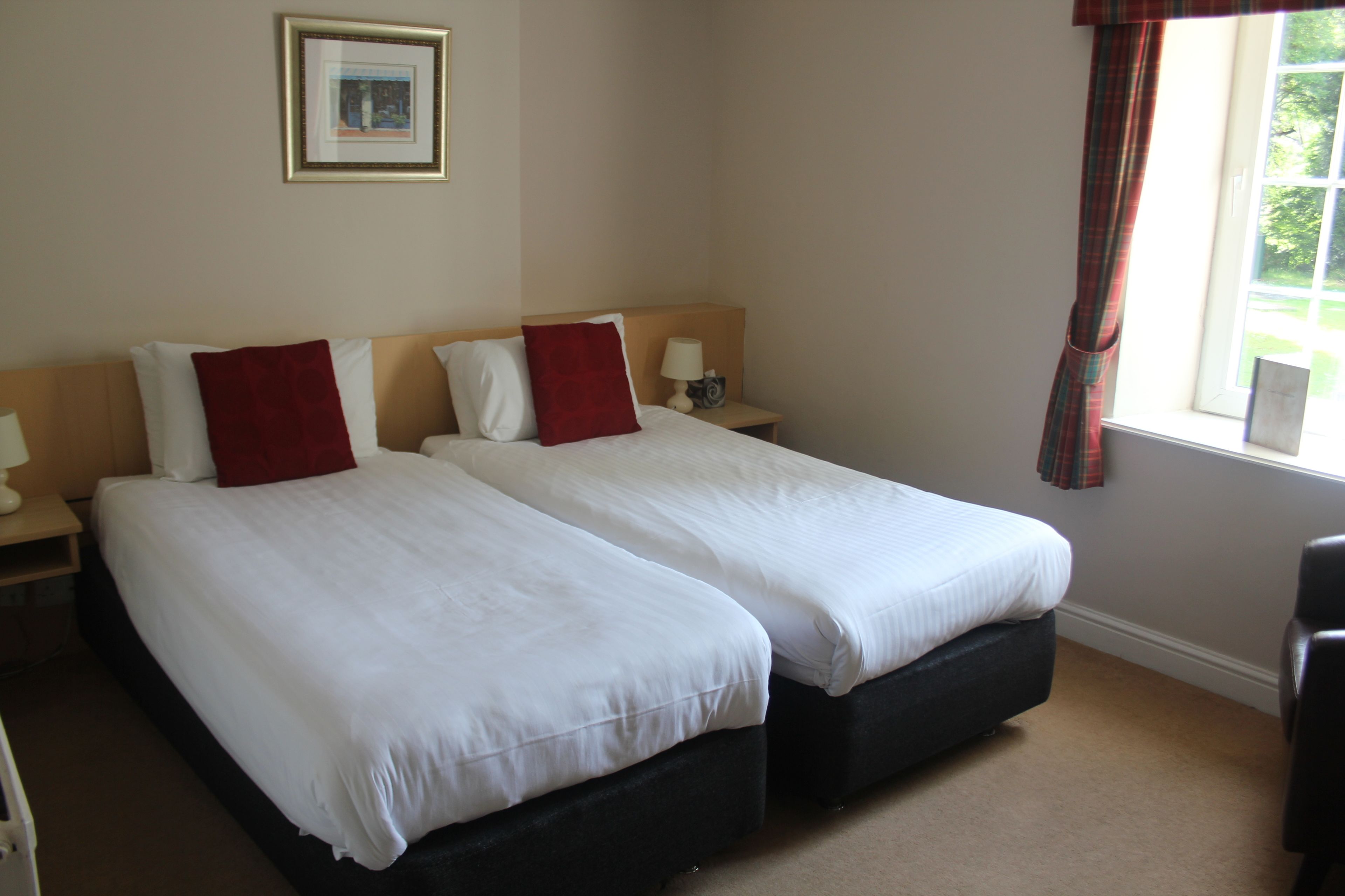 Standard Twin Room, 2 Single Beds | Desk, iron/ironing board, free cots/infant beds, rollaway beds