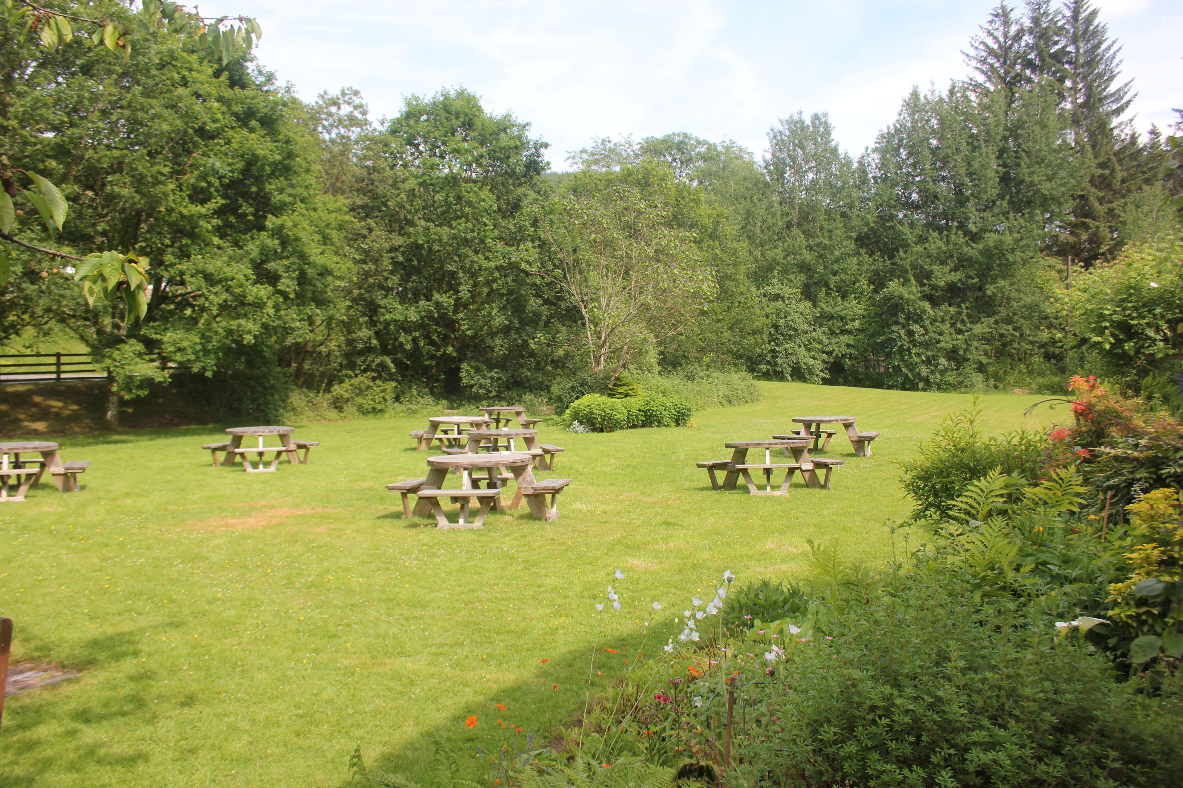 standard double room, 1 bedroom | bbq/picnic area