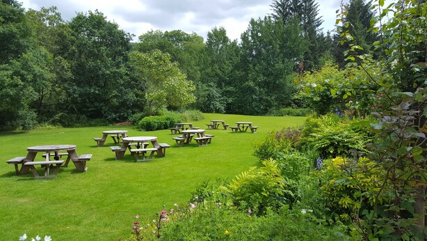 Een gazon met meerdere picknicktafels die in een halve cirkel staan, omgeven door weelderige beplanting en bomen.