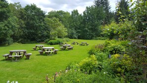 A grassy outdoor area with multiple picnic tables arranged in a semi-circle, surrounded by dense greenery and trees.
