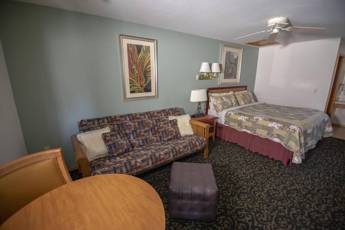A room with a bed, a sofa, a small table, and a chair.
