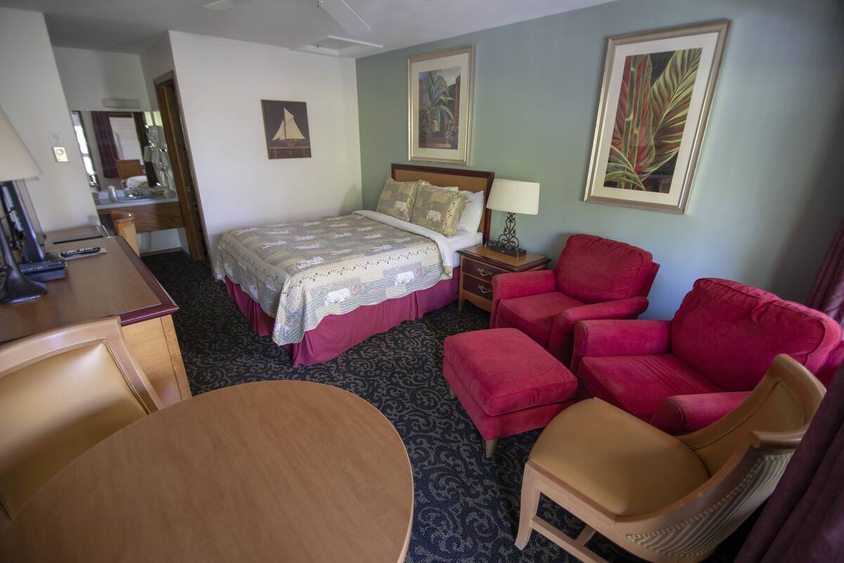 A hotel room with a bed, a desk, a chair, and a sofa.