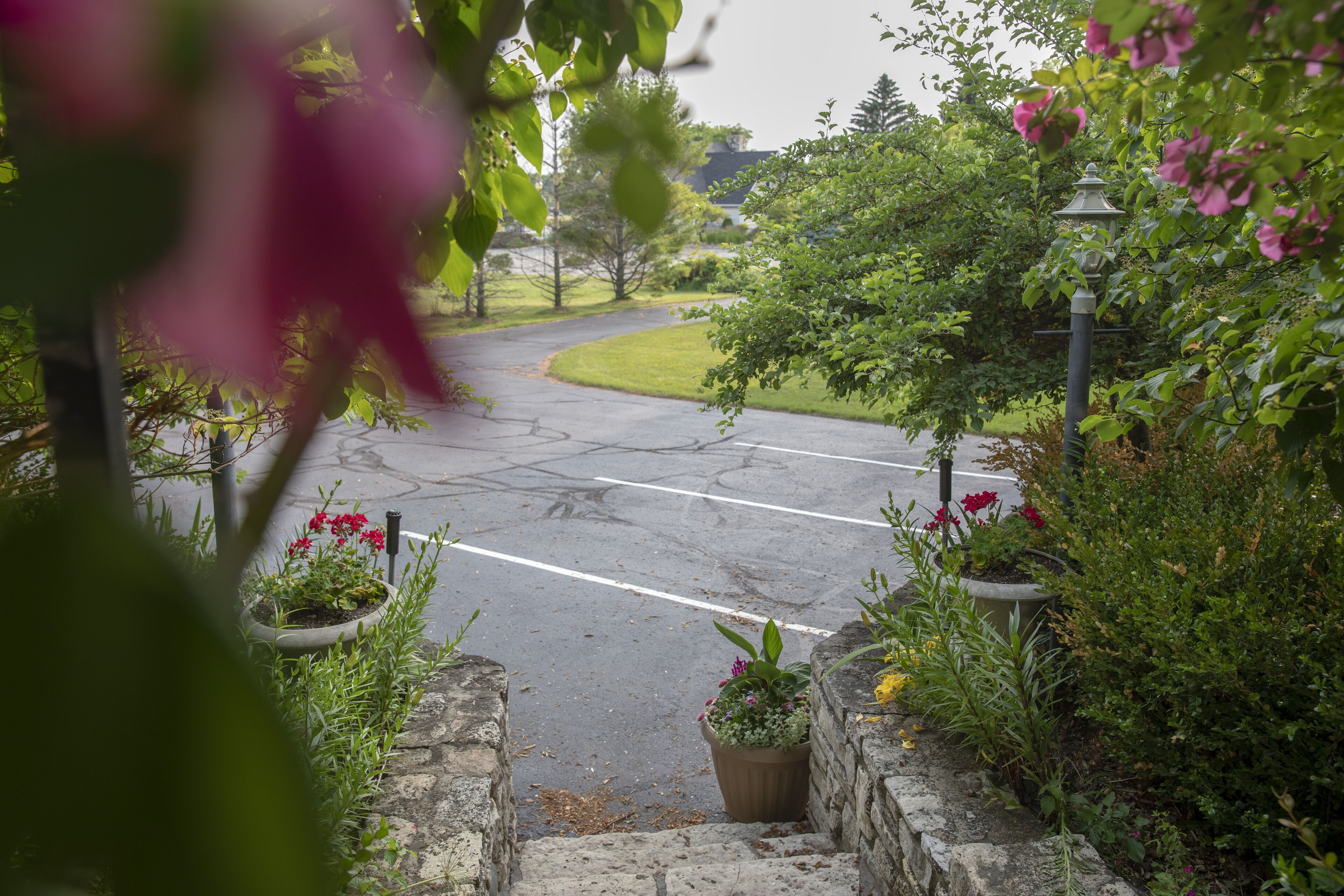 A residential street with a curved driveway, surrounded by lush greenery and flowering plants.