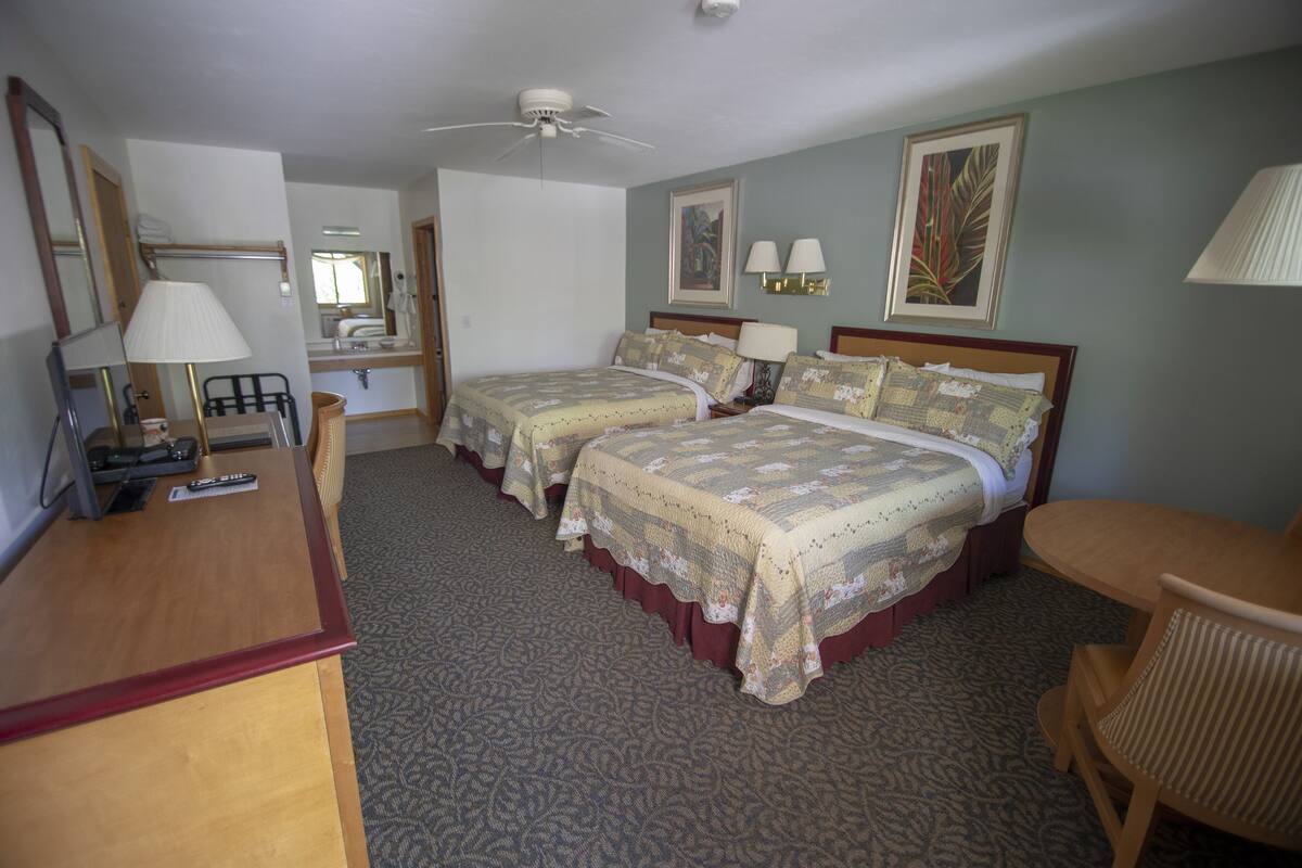 A hotel room with two single beds, a desk, a chair, a ceiling fan, and a large window.