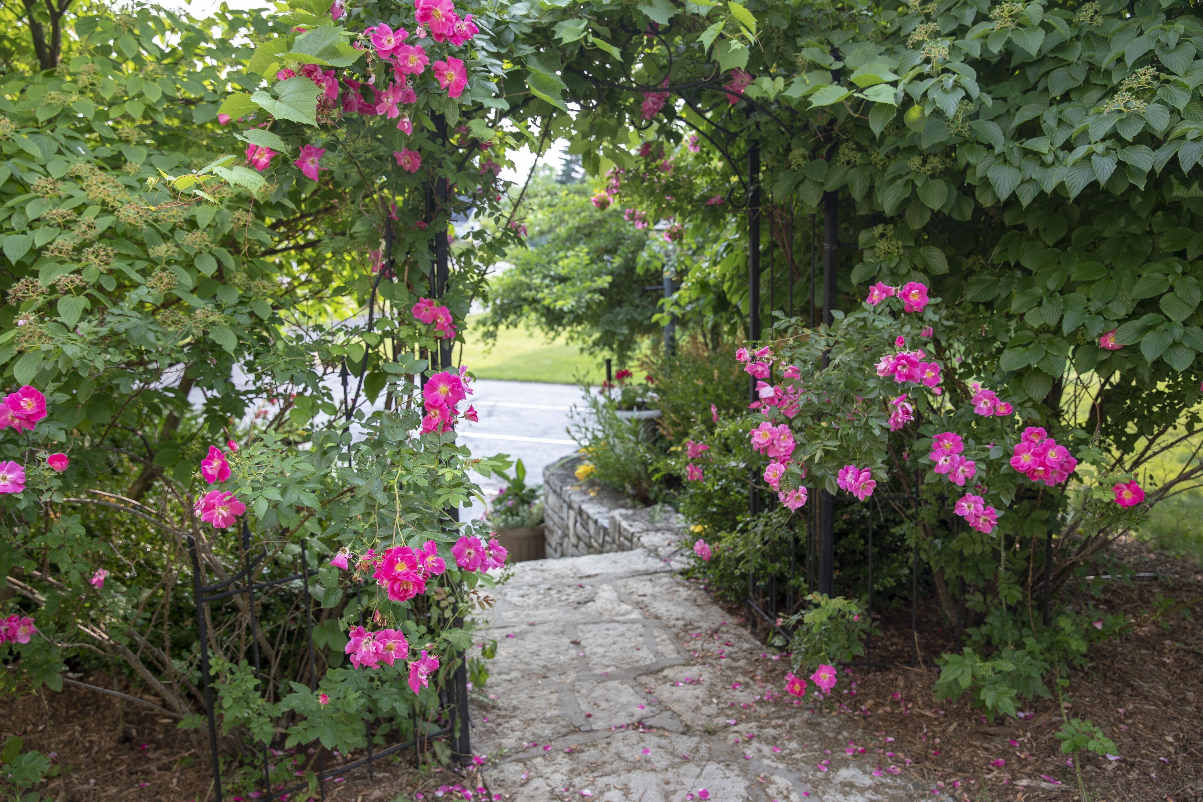 private pond suite | terrace/patio