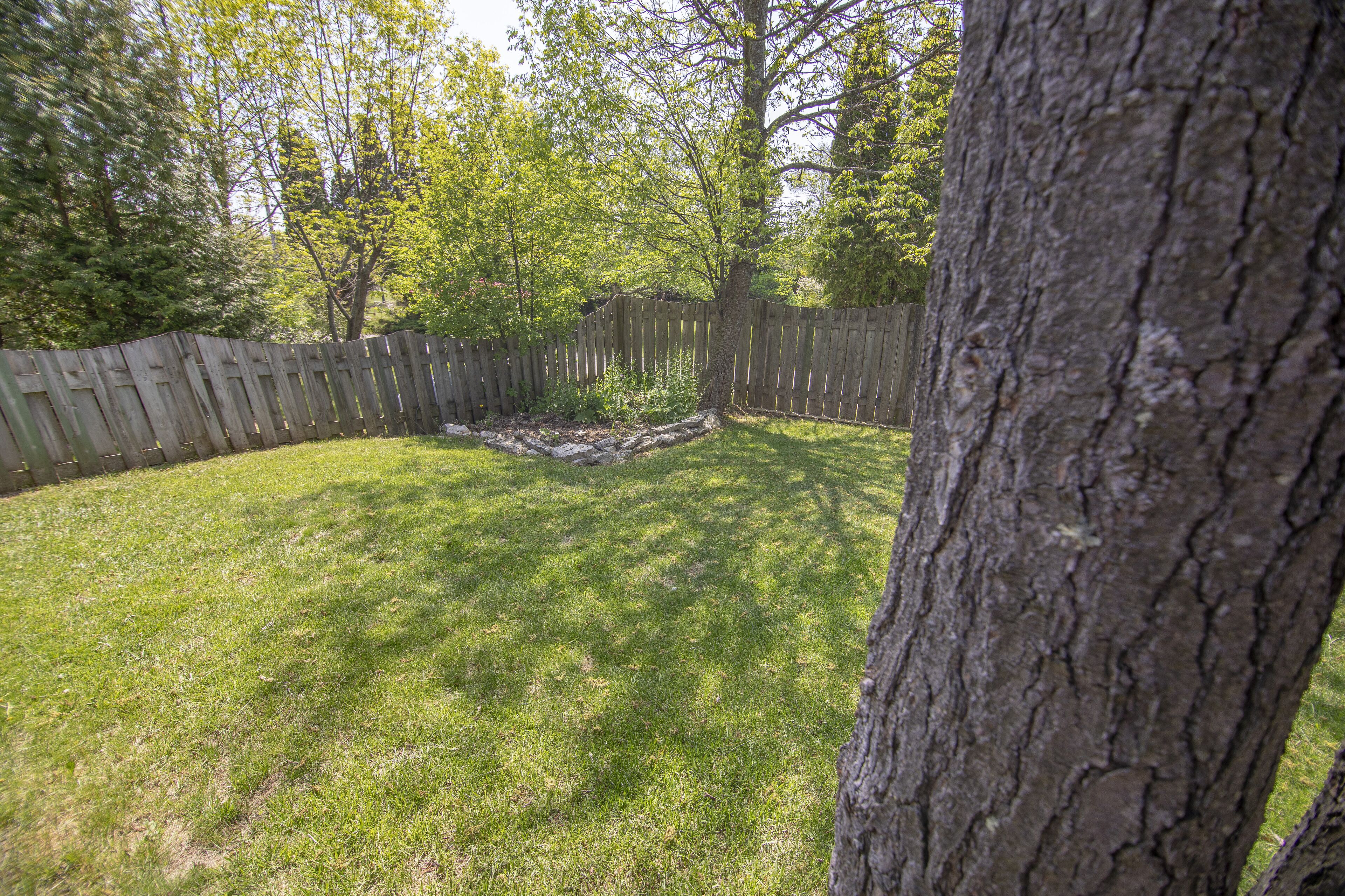 A backyard with a wooden fence, a tree, and a grassy area.