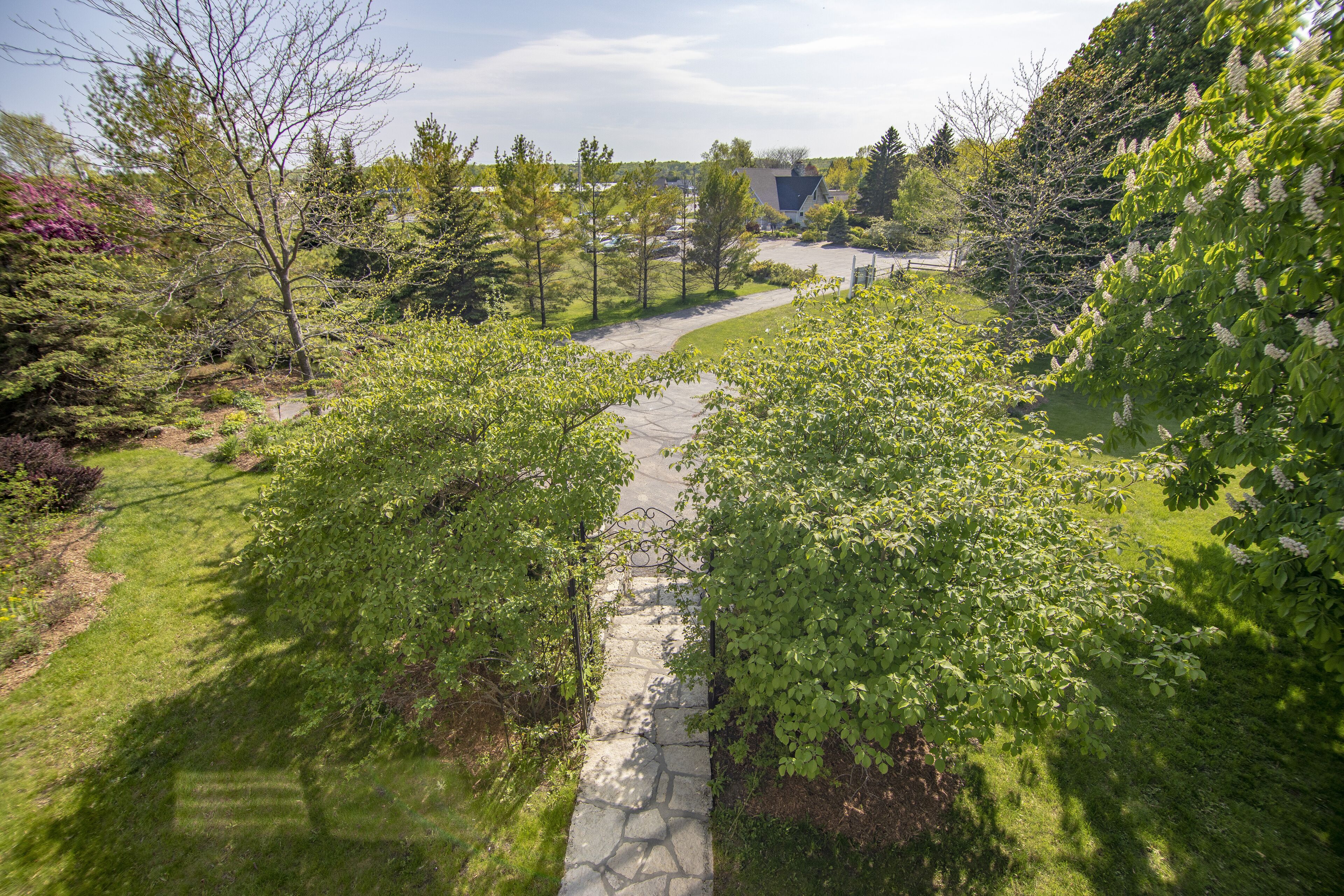 A stone pathway in a landscaped area with trees and shrubs.