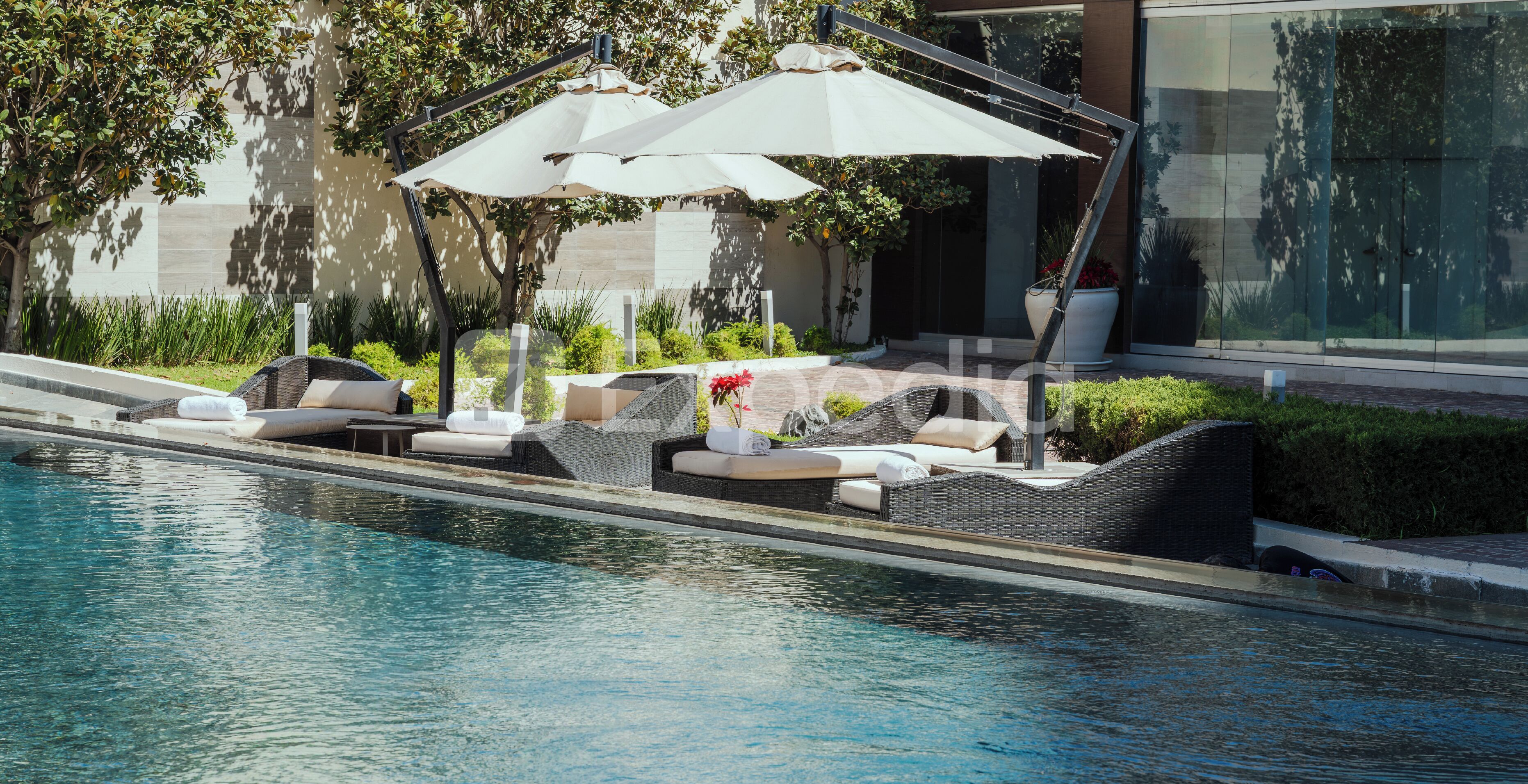 Un área junto a la piscina con sillones de descanso y sombrillas, una piscina cristalina y un edificio moderno al fondo.