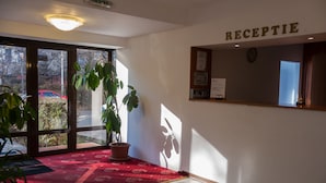 A reception area with a red carpet, a reception desk, and a large potted plant. - Ceramica Hotel (Iasi)