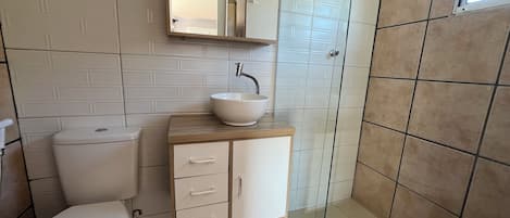 Un bagno moderno con il water, un lavandino con uno specchio sopra e una doccia.