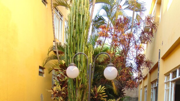 A narrow stone pathway flanked by yellow buildings, with a palm tree and a planter with red flowers in the foreground. - Alvorada Palace Hotel (Cuiabá)