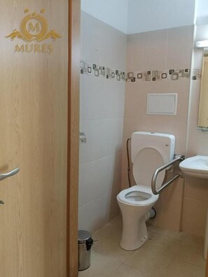 Une petite salle de bain avec des toilettes, un lavabo et une douche.