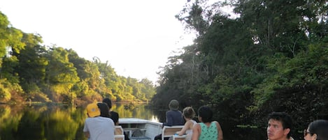 Paseos en bote