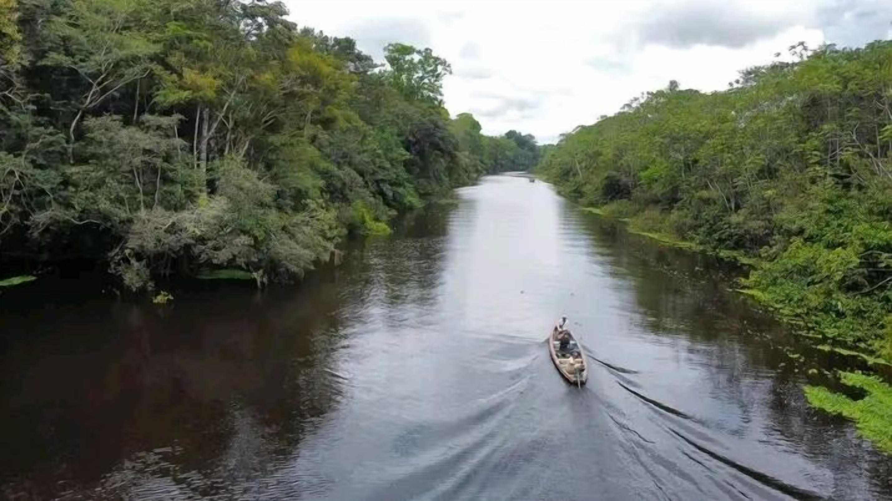 Un río con vegetación densa a ambos lados.