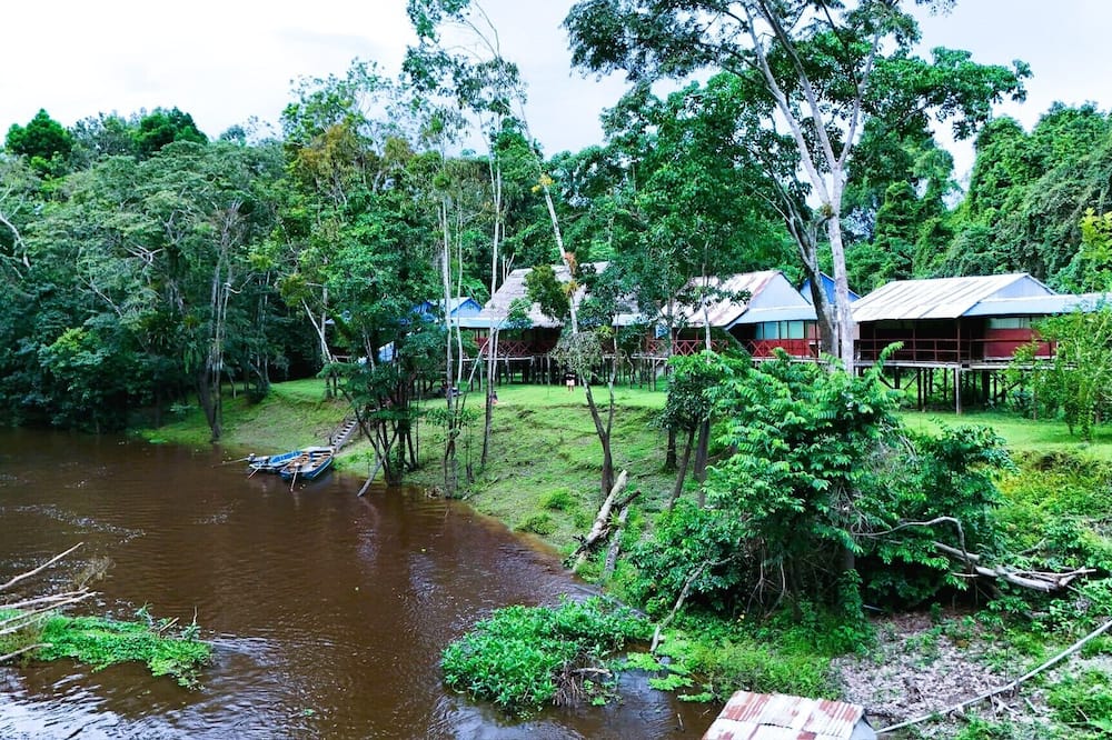 Jacamar Lodge Expeditions