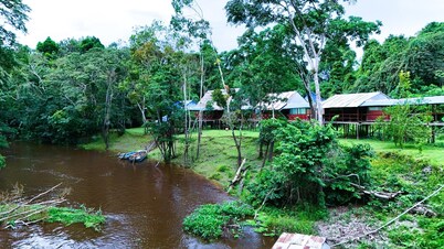 Jacamar Lodge Expeditions