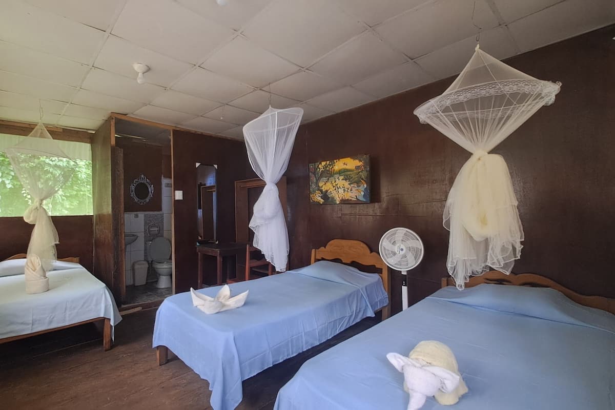 Triple Room, Patio, River View