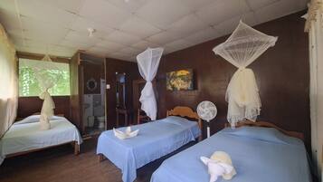 Tremannsrom, terrasse, elveutsikt | Memory foam-senger, safe på rommet, skrivebord og wi-fi (inkludert)