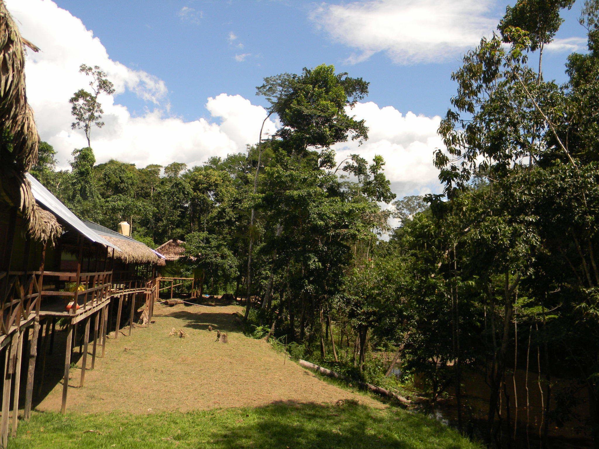Un pueblo rural con chozas de techo de paja y un sendero de tierra que atraviesa un bosque.