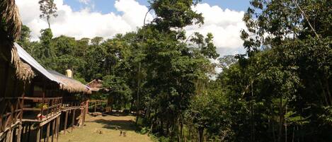 Un pueblo rural con chozas de techo de paja y un sendero de tierra que atraviesa un bosque.