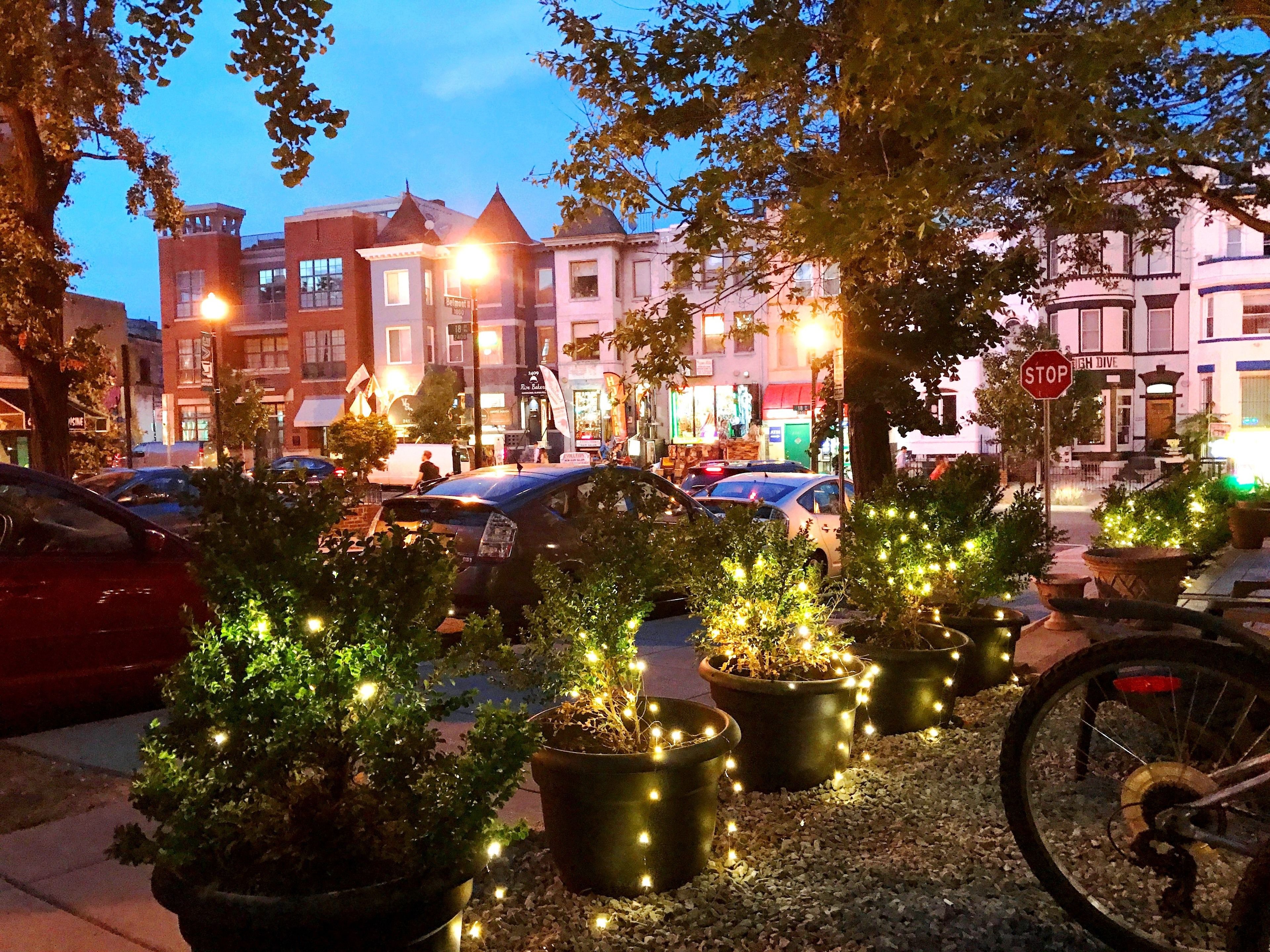 Front of property - evening/night