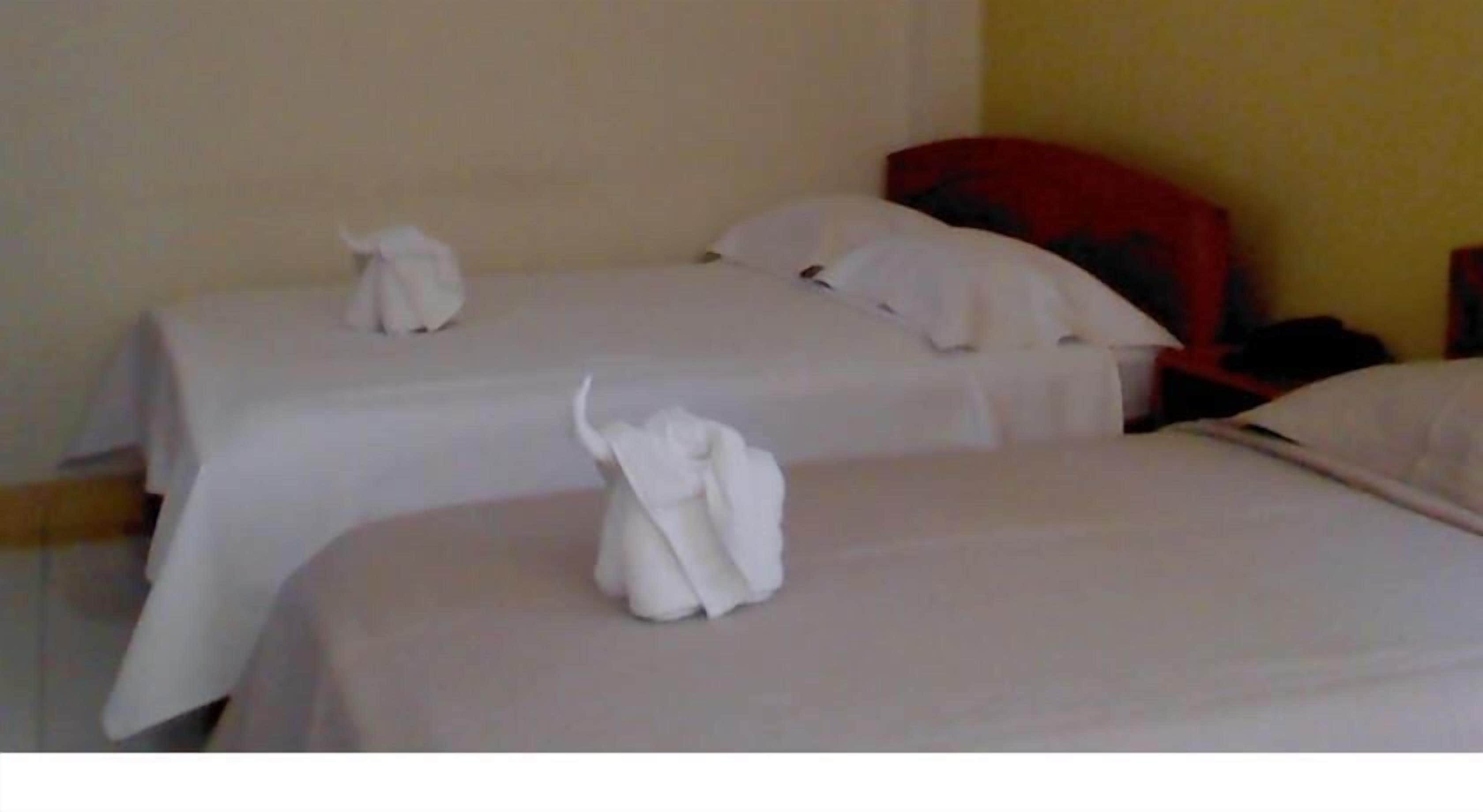 twin room, garden view | in-room safe, desk, free wifi, wheelchair access