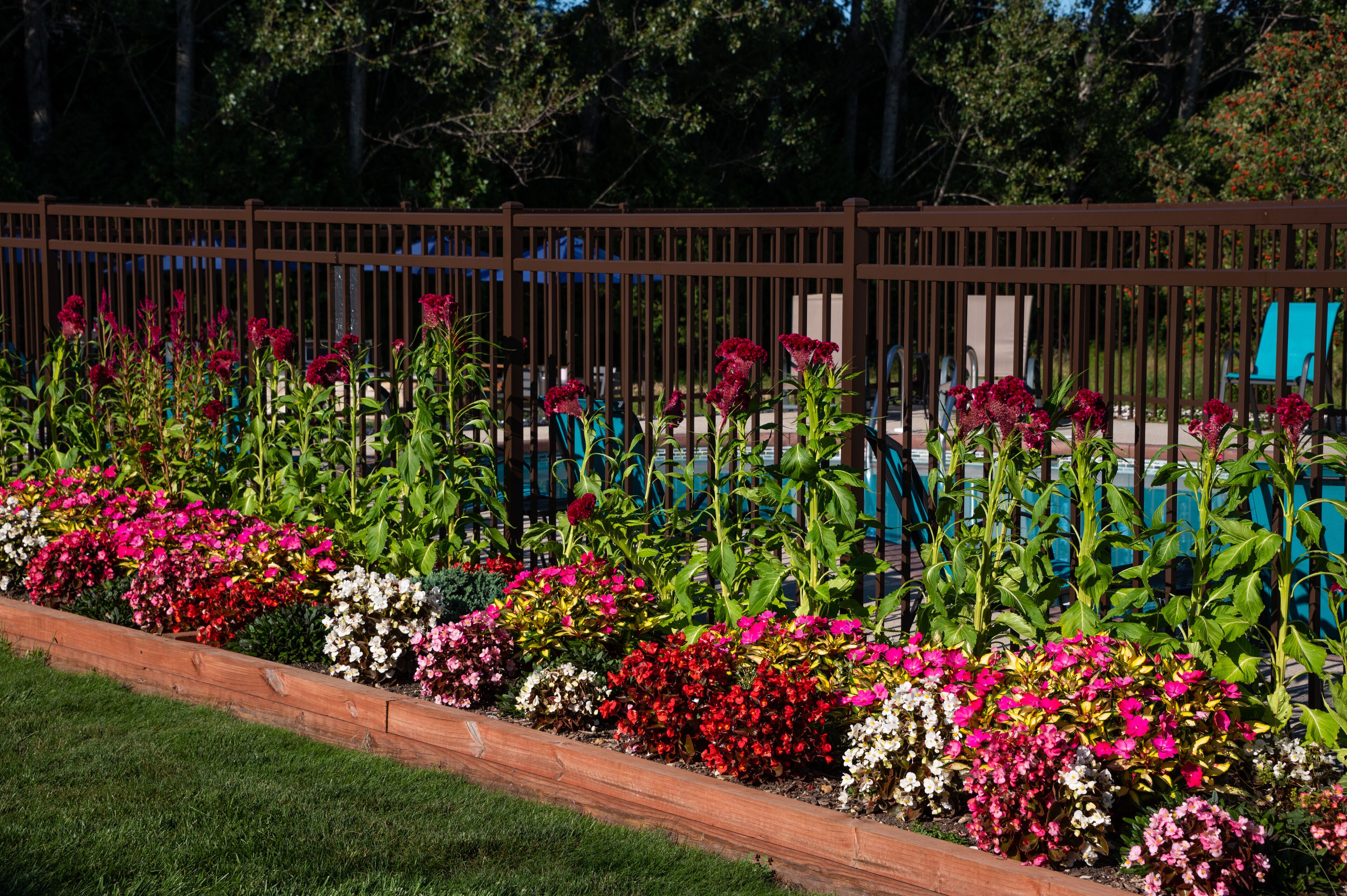 A garden with a wooden border, various colorful flowers, and a pool area with chairs.