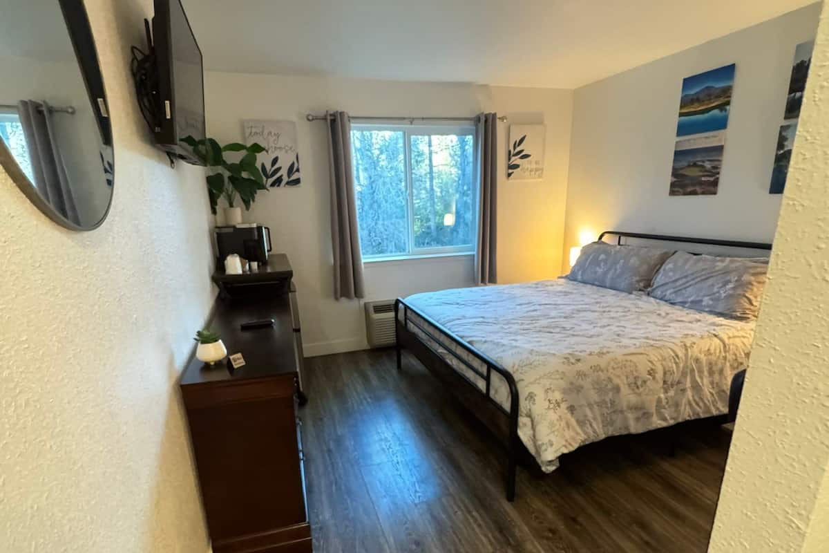 Een slaapkamer met een bed, een dressoir, een televisie, een raam en een plant.
