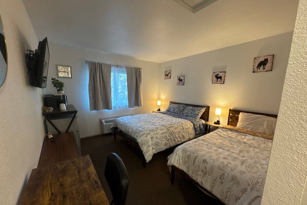 Een kamer met twee bedden, een bureau, een stoel, een aan de muur bevestigde televisie en een raam met gordijnen.