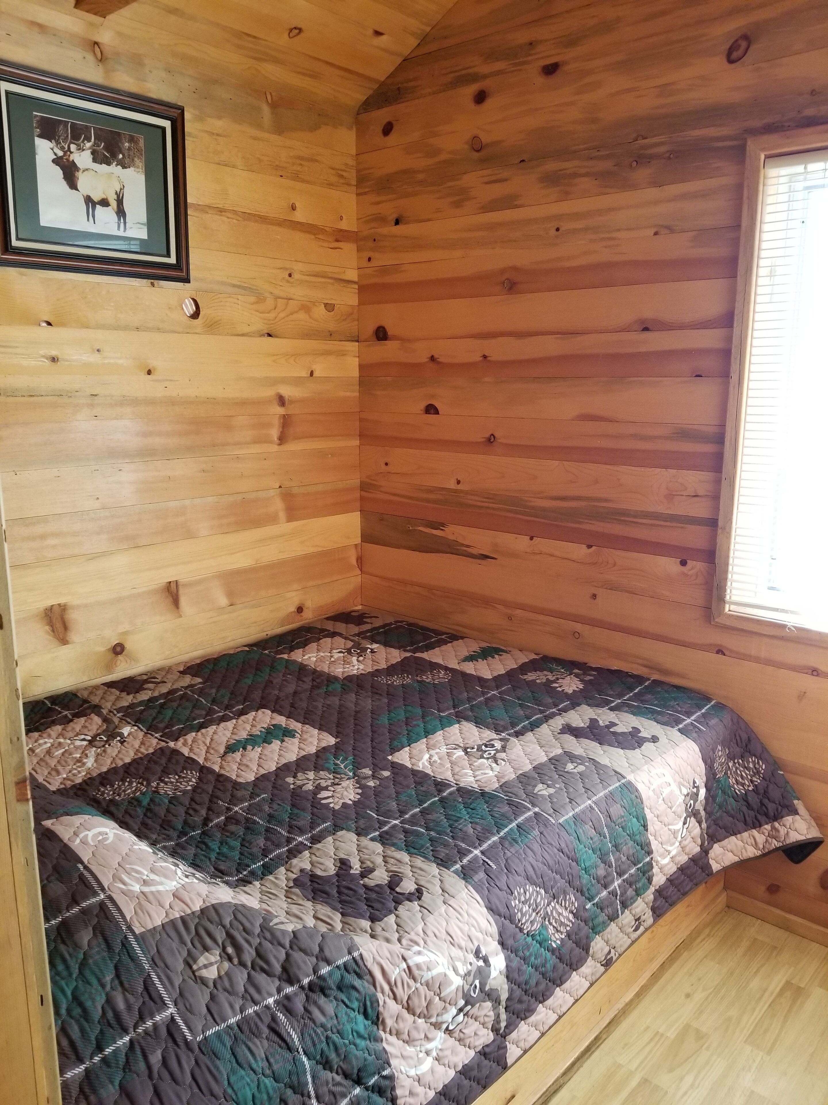 Una habitación acogedora con paredes de madera, una colcha de patchwork y un cuadro enmarcado de un alce.