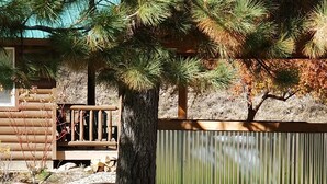 A deer in a grassy area with a wooden fence and a metal structure in the background. - Sourdough Lodge (Lowman)