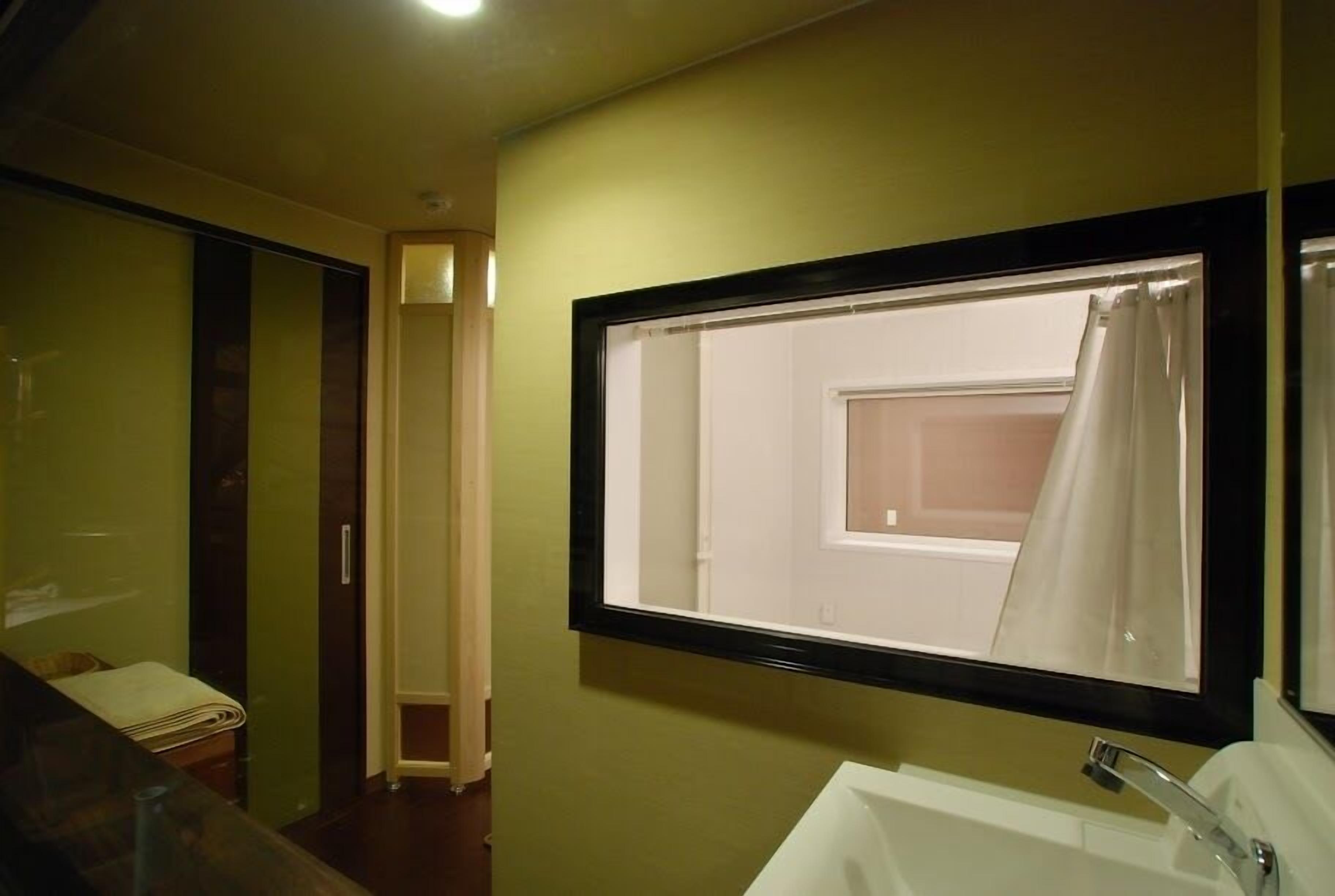 A bathroom with a large mirror, a sink, and a shower visible through the window.