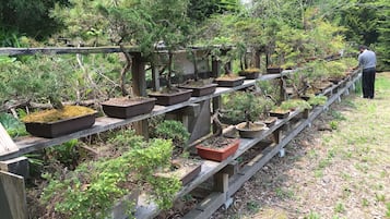 Jardín