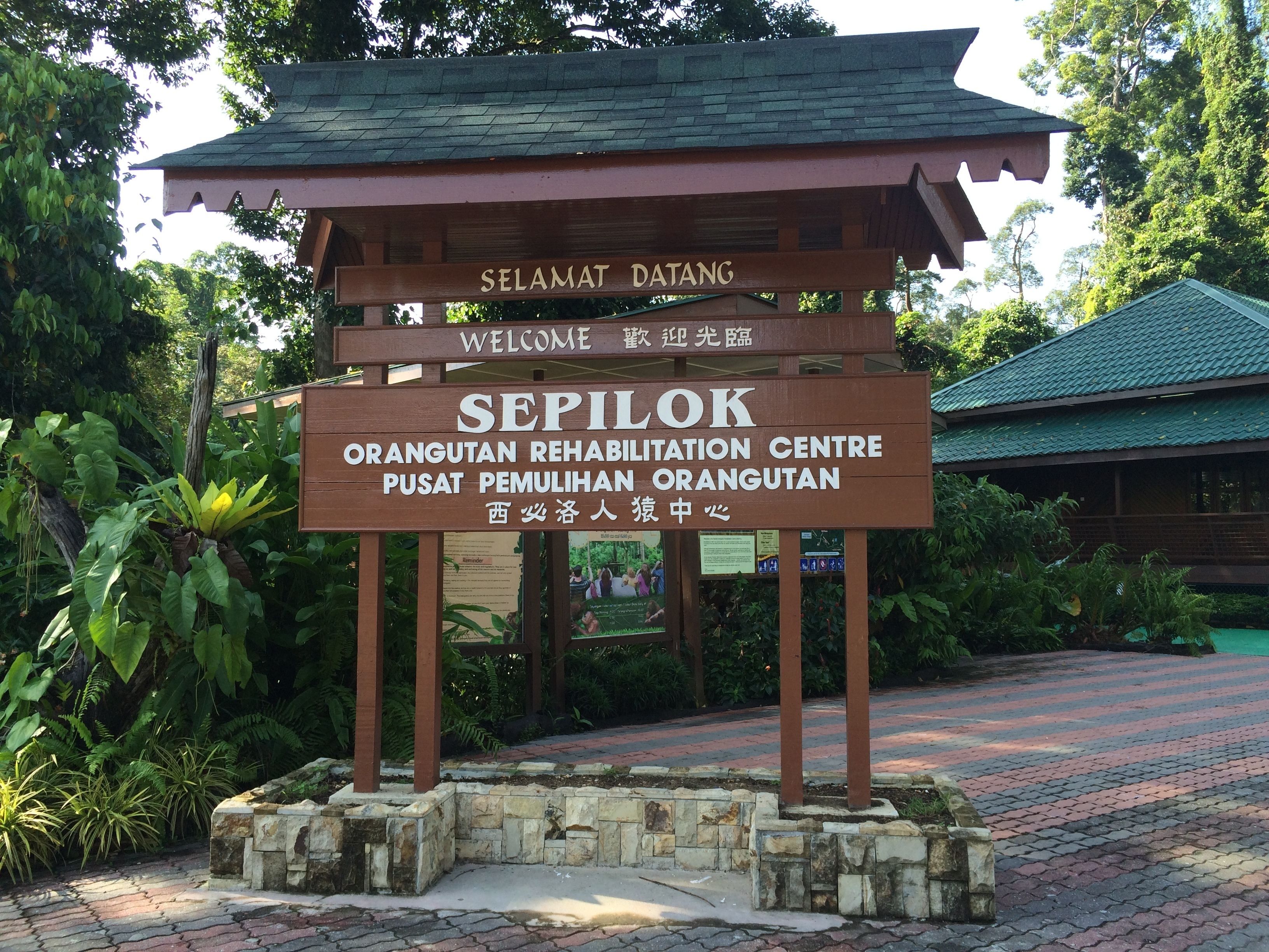 Un letrero de madera con el texto 'SEPIDOK ORANGUTAN REHABILITATION CENTRE PUSAT PEMULIHAN ORANGUTAN'.