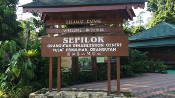 Un letrero de madera con el texto 'SEPIDOK ORANGUTAN REHABILITATION CENTRE PUSAT PEMULIHAN ORANGUTAN'.