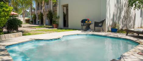 Outdoor pool, sun loungers