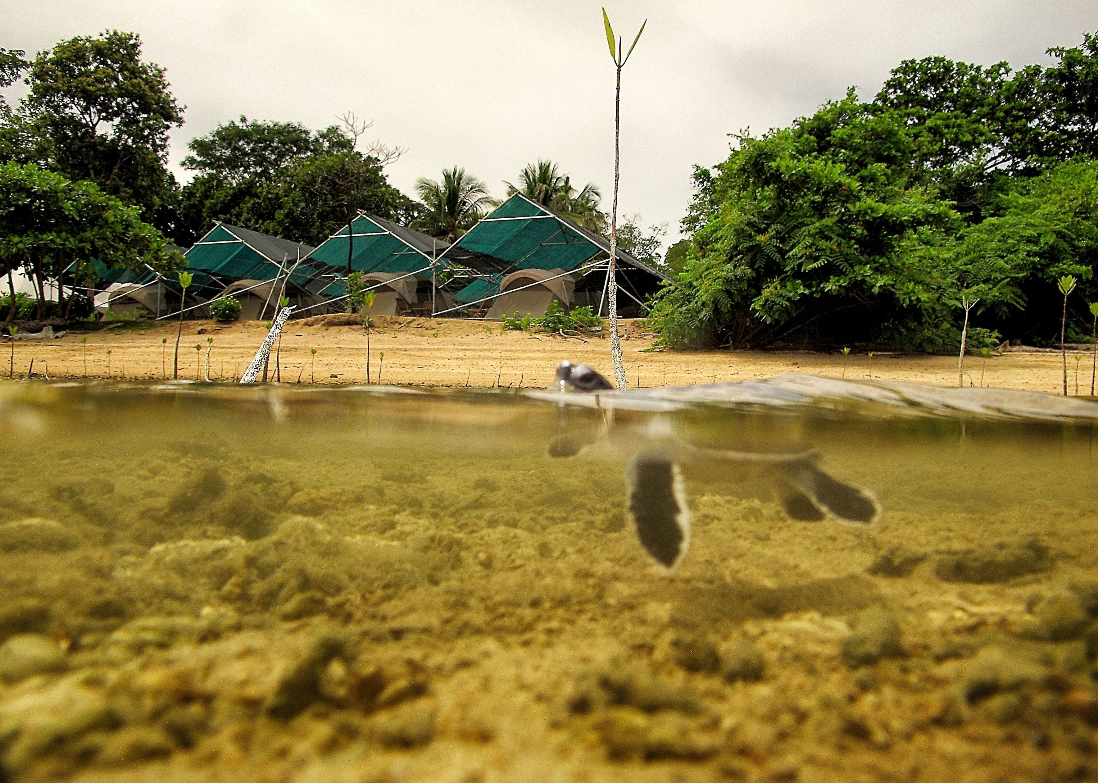 Enceinte de l’hébergement