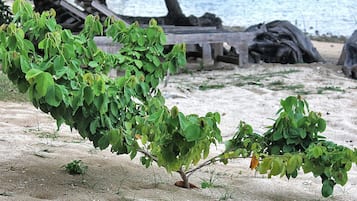 Am Strand, Schnorcheln, Volleyball, Kajakfahren